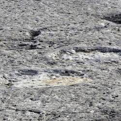 Hier kan je ook goed de tenen zien.