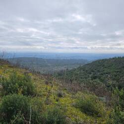 Ik ben hier wel weer hoog, hoor!