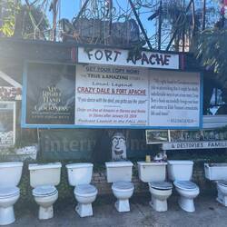 He has a thing with toilets... they are everywhere 😅