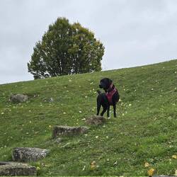 Niska admiring the main theatre stage from the auditorium