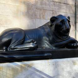 The Lion, the emblem of Lyon, it is a symbol of nobility, strength, resistance and courage