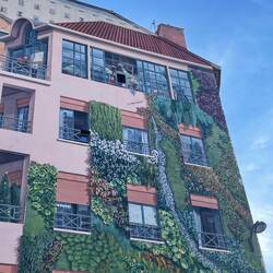 The living garden wall