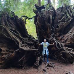 Ein bisschen auseinander gedrückt 😉