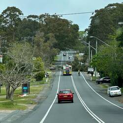 "Kleiner" Baum im Weg 🫣