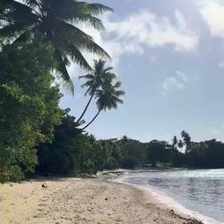 Taveuni