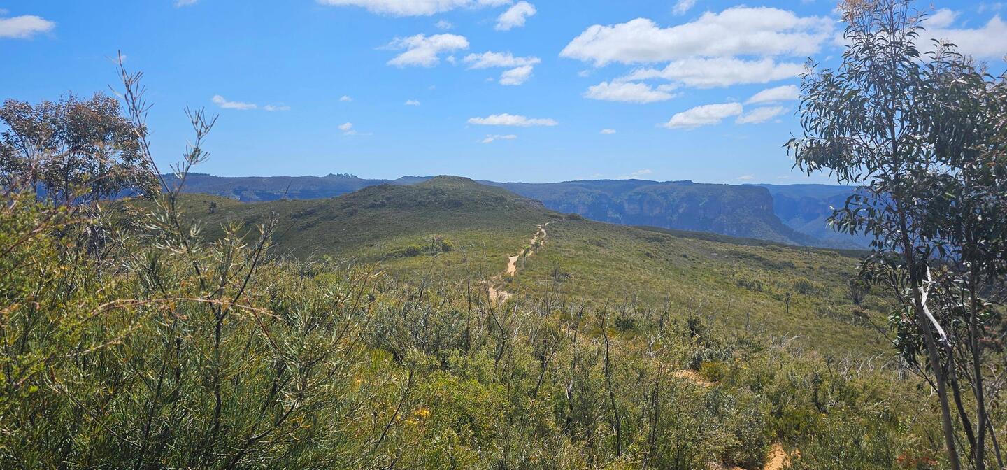 On the other side of this canyon is Blackheath