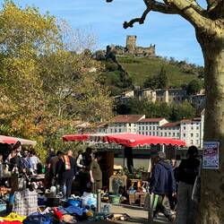 Flohmarkt an der Rhône