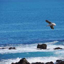 Wie war das noch bei Reinhard Mey....