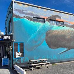 Streetart Kaikoura