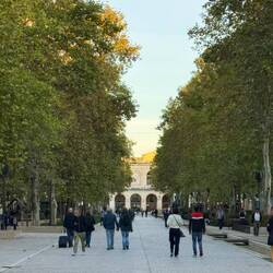 Tree lined street and train station