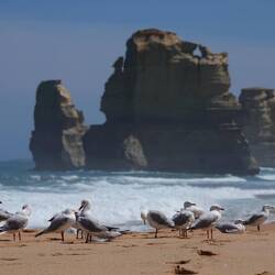 12 Apostles an den Gibson Steps