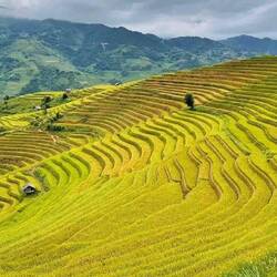 Aber stellt Euch vor, dass es vor 3 Wochen noch so ausgesehen hat - einfach ein Traum!