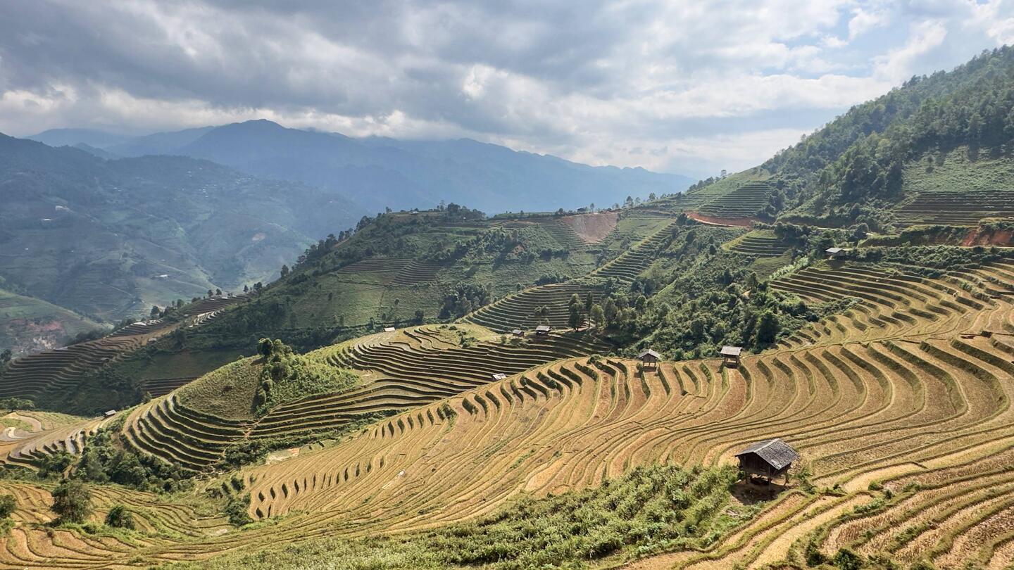 Mom Kin Noin, selbst nach der Reisernte noch eindrucksvoll