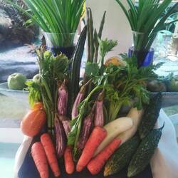 Zutaten für unser Essen - alles frisch!