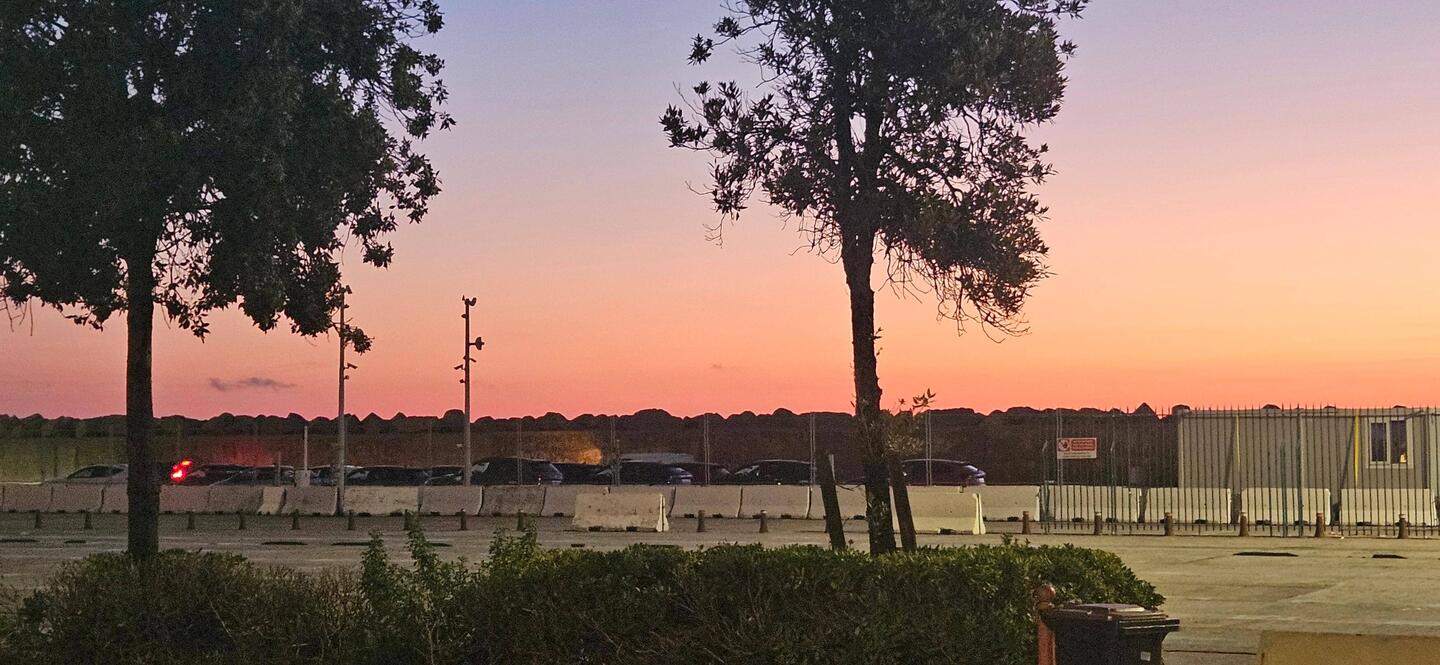 Morgenstimmung im Hafen
