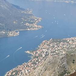 La nuée de bateaux quittant kotor pour les villages