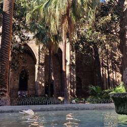 Eine der 13 Gänse für Eulalia. (s. Wikipedia?