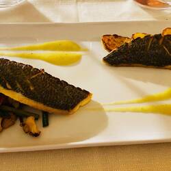 Tagesfisch mit Gemüse