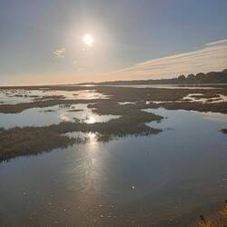 Rückweg durch den Nationalpark Ria Formosa