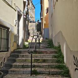 Ha, daar zijn ze weer!