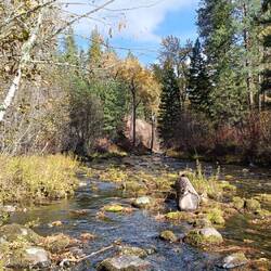 Rattlesnake Creek