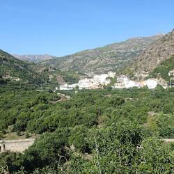 Weiter unten gibt es Avocado- und Cherimoyaplantagen