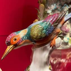 Eisvögel verfolgen uns!