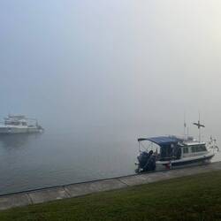 In the fog again.
