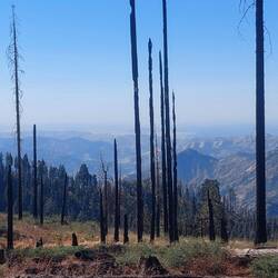 Immer wieder grandiose Ausblicke!