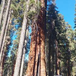 Hier sieht man, wie klein unser Womo im Vergleich ist