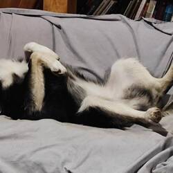 Feierabend (Aska)