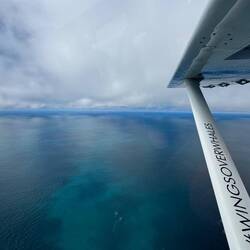 Erstaunliche Farben im offenen Meer