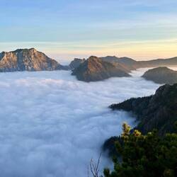 Besonders das dichte Nebelmeer im..