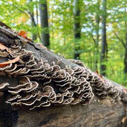 ..Eindrücke und Momente - auch wenn es öfters besser..