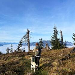 ..nicht mehr das Licht der Stirnlampe.