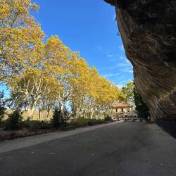 Trees along the river with a grotto to the right