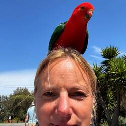 Das war jetzt nicht so beabsichtigt 🤔