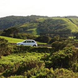Mein Auto im Grünen