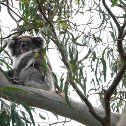 Da ist ja einer wach 😃