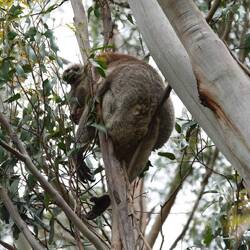 Ein schöner Rücken kann auch entzücken 😅