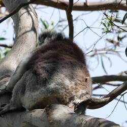 Und noch ein Rücken