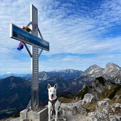 ..Admonter Warte verträumt zurück.