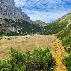 ..aber schließlich als wir den langgezogenen Almboden erreichen.