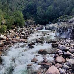 Auch hier viel Wasser.
