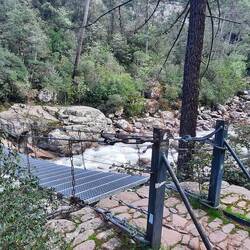 Hängebrücke im Foret de Bonifatu