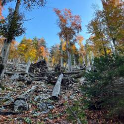 ..der Weg, und so müssen..