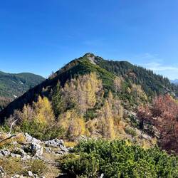 ..zu übersehen - ebenso wenig wie..