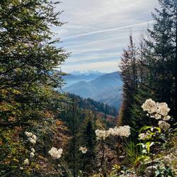 ..schon gehts wieder hinunter ins Tal und..