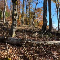 ..wir unseren eigenen Steig entdecken.