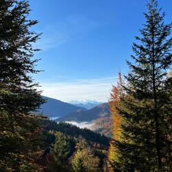 ..und begleitet uns farbenfroh..